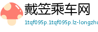 戴笠乘车网